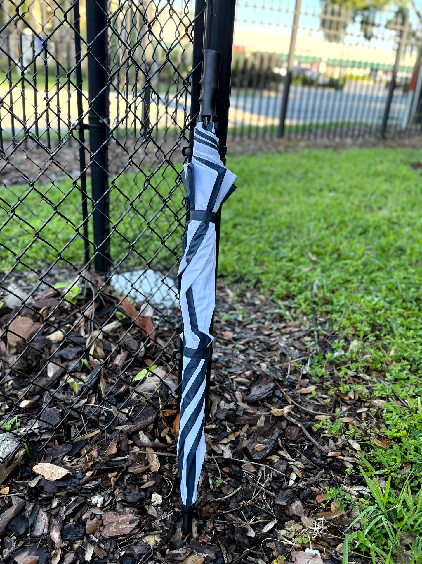 Umbrella