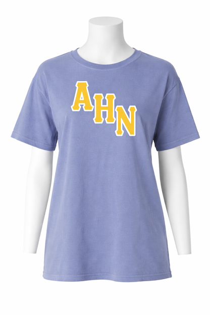 School Shirt - AHN Block Letters - Light Blue