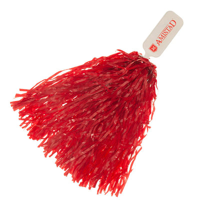 Amistad Pom Pom