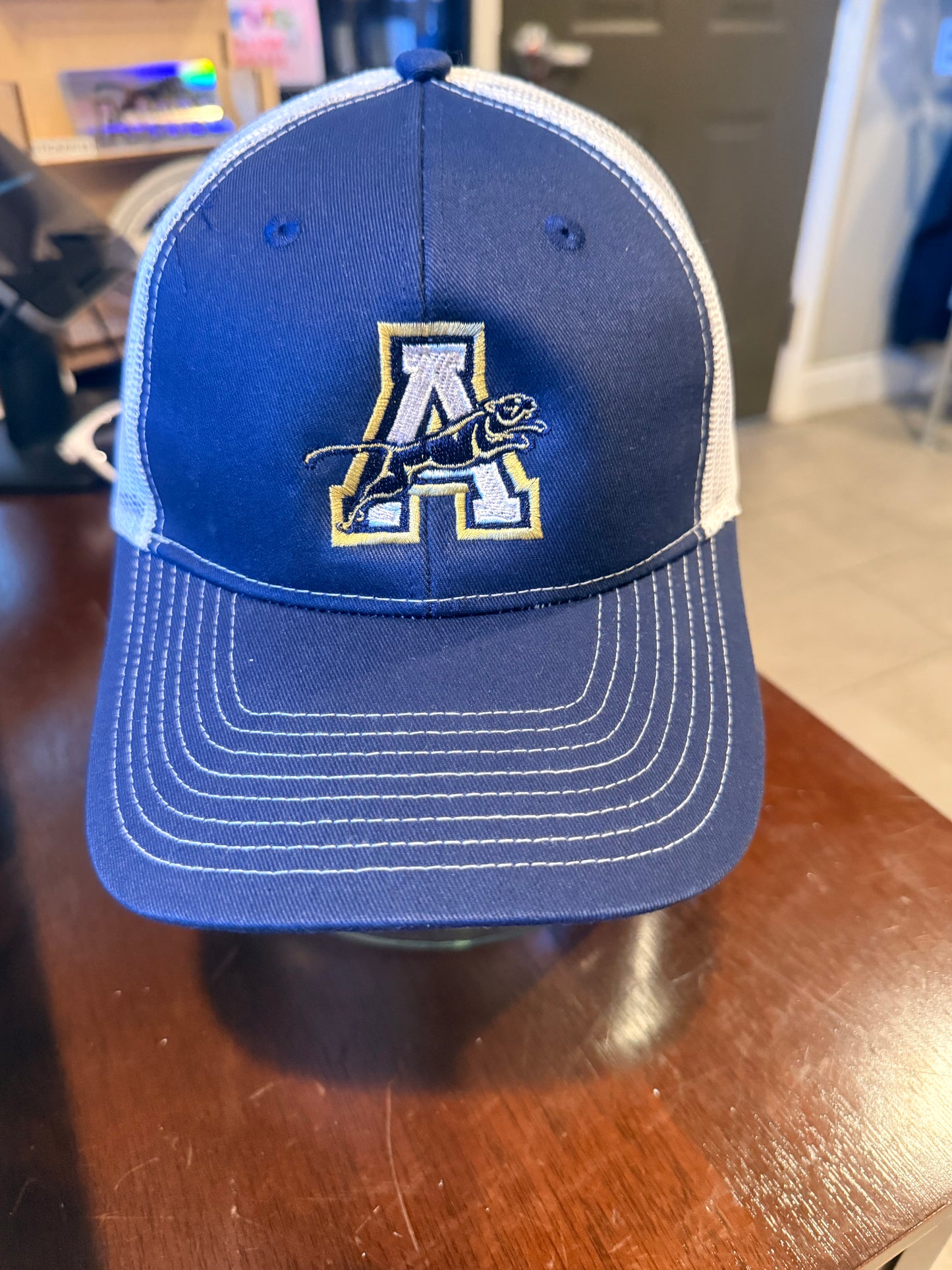 Hat - Ponytail Back