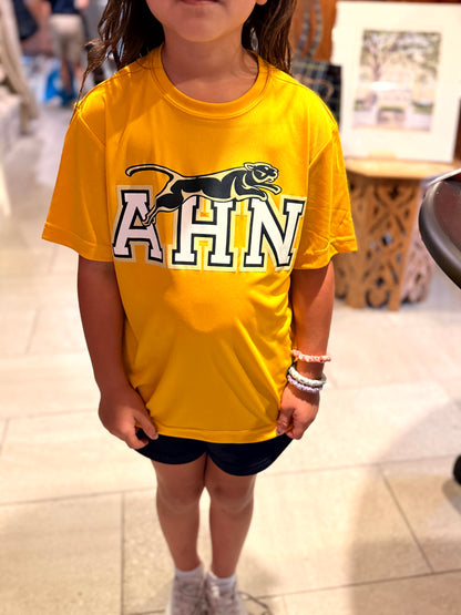 Spirit Shirt - Gold