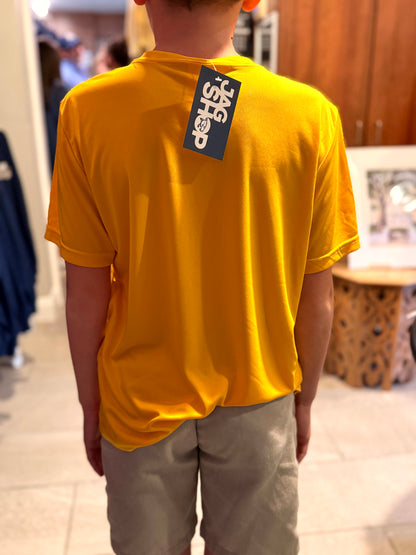 Spirit Shirt - Gold