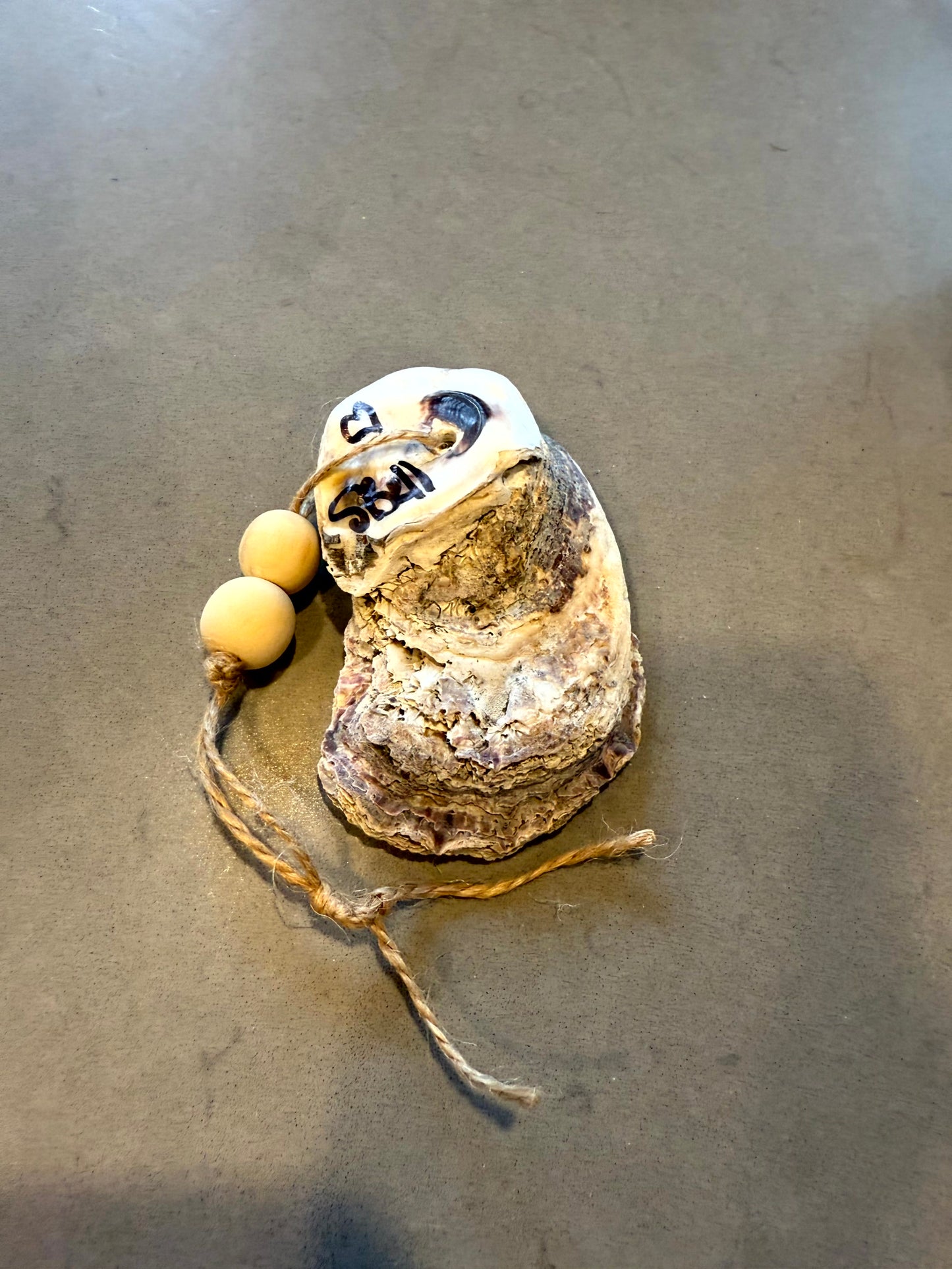 Jaguar Spirit Oyster Shell