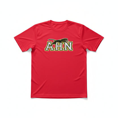 Spirit Shirt - Pink