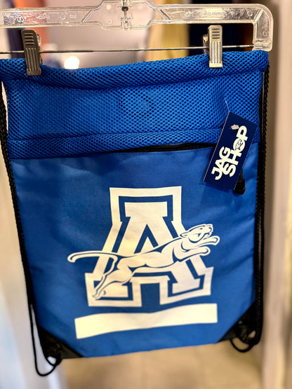 Sports and Swim Mesh Bag - Blue