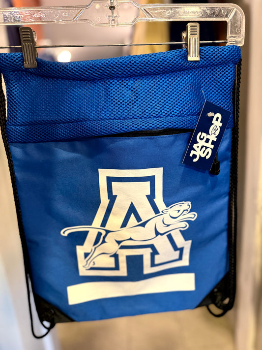 Sports and Swim Mesh Bag - Blue
