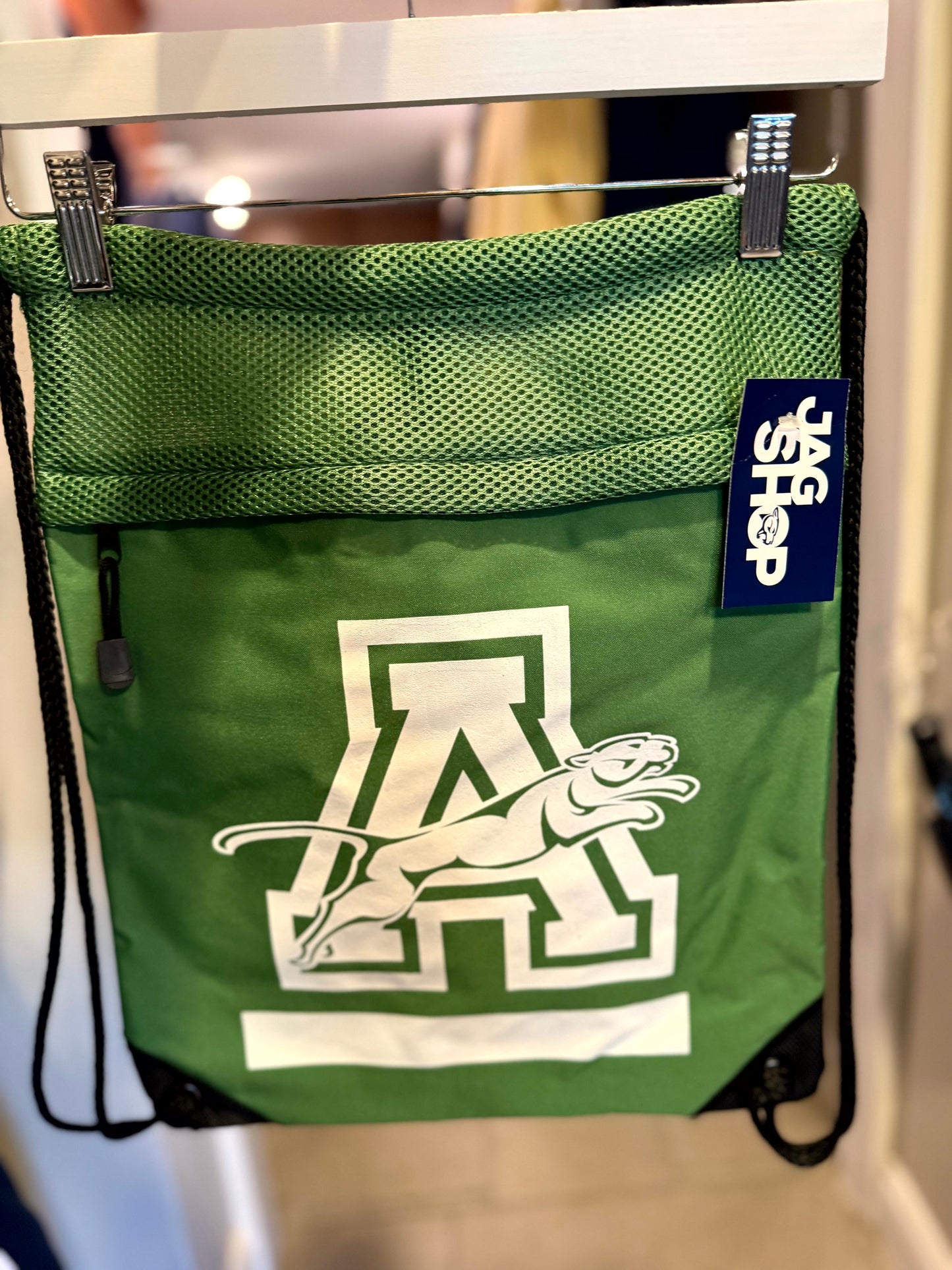 Sports and Swim Mesh Bag - Green