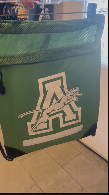Sports and Swim Mesh Bag - Green
