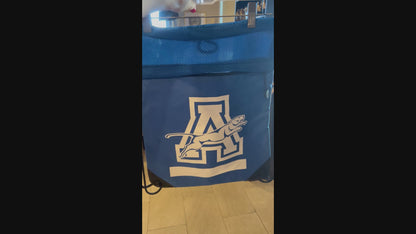 Sports and Swim Mesh Bag - Blue